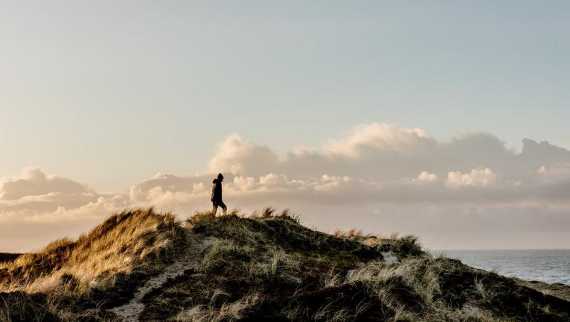 Dunes at Nationalpark Thy, near Klitmøller on the west coast of Denmark