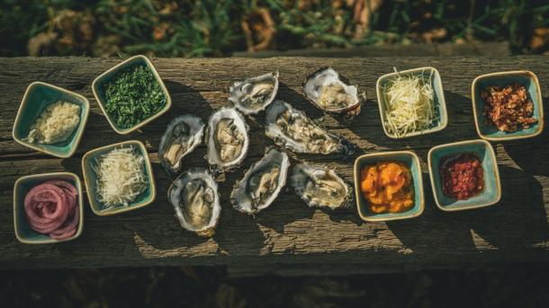 Oyster plate at Vadehavscentret, Wadden Sea 