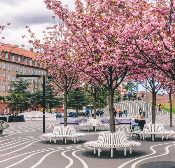 Superkilen Park a Nørrebro, un quartiere di Copenaghen