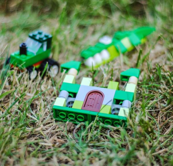 LEGO pieces with a natural background