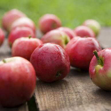 Apples-Fruit
