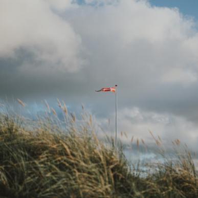 Dänische Flagge in den Dünen von Løkken an der Dänischen Nordsee