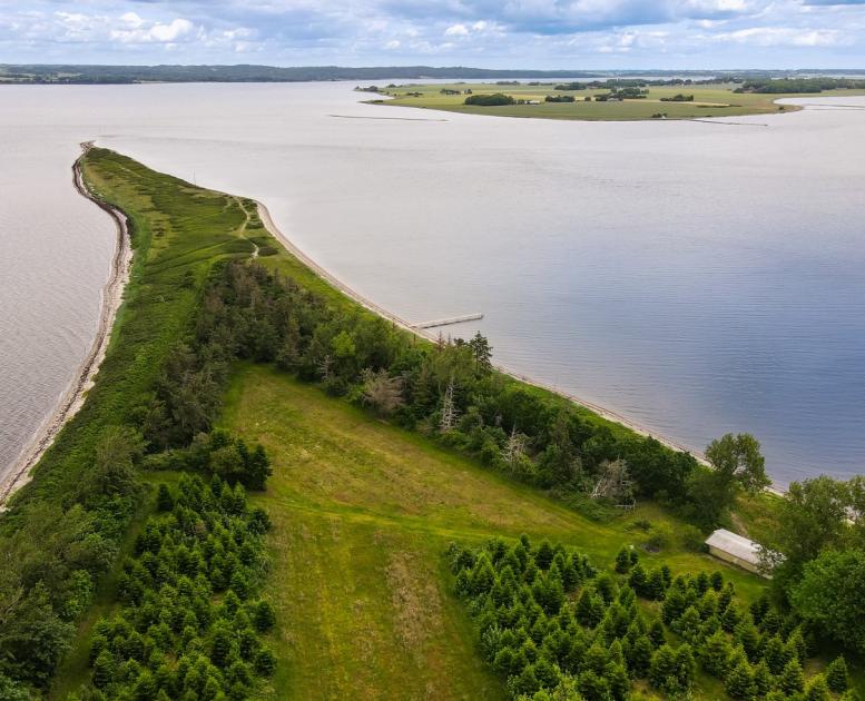 Borre Knob Horsens Fjord at the Coastal Land on Jutland in Denmark