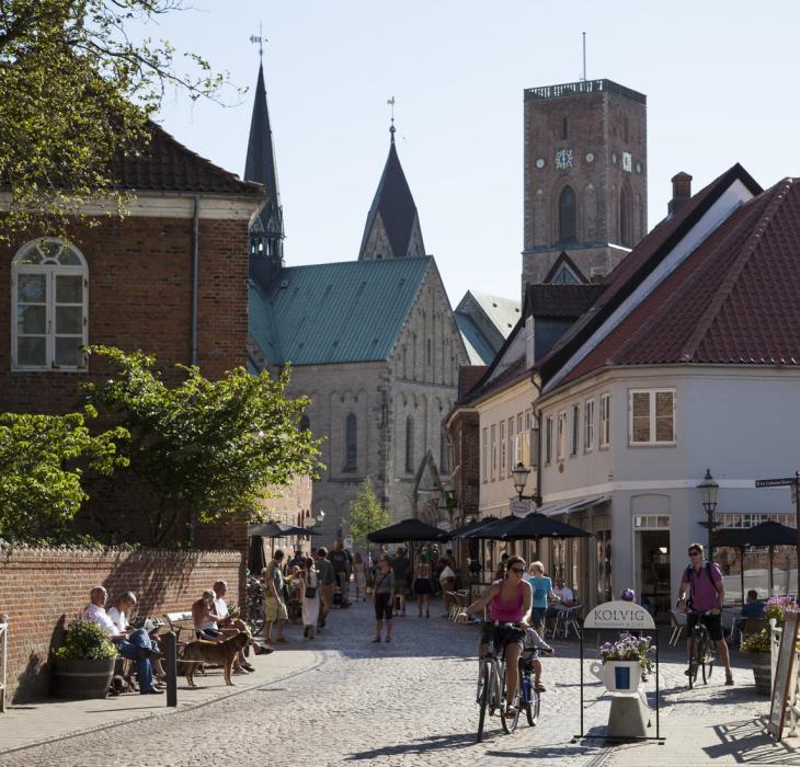 La città più antica della Danimarca, Ribe