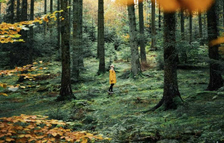 Woman in Rold Forest in autumn, Himmerland, North Jutland